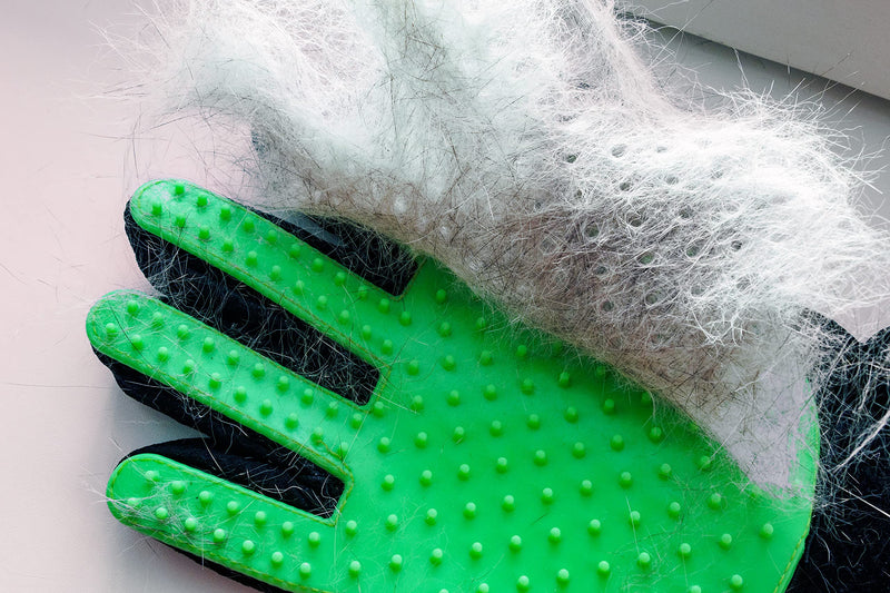 PAIR of Low-Cost Pet Grooming Gloves - Superior Care for Your Furry Friends. Ideal for Grooming, Deshedding, Bathing & Massaging Your Dogs & Cats with Long/Short/Curly Fur – Green - PawsPlanet Australia