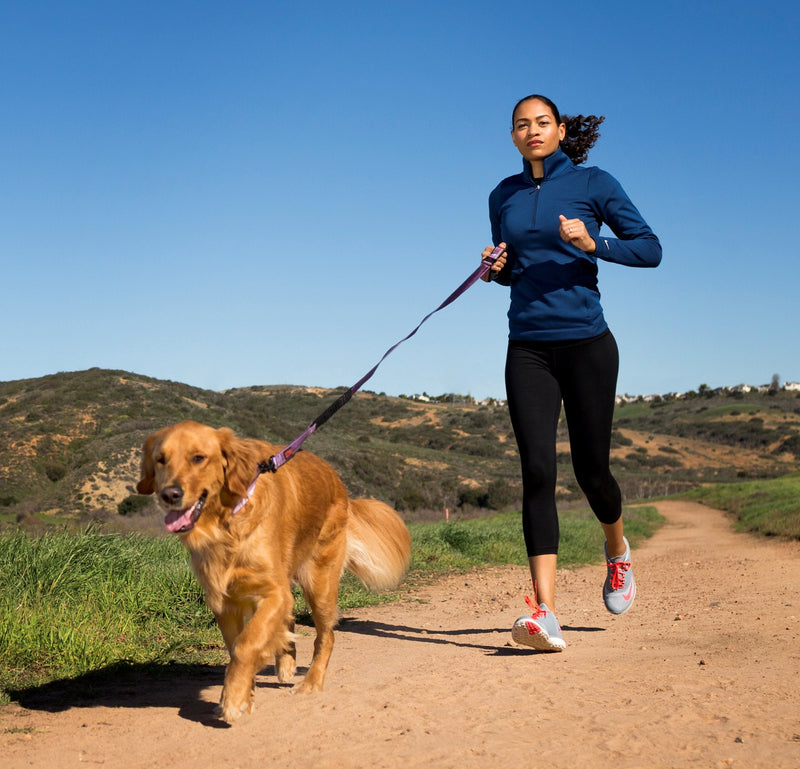 HALTI Active Lead Size Large, Red, Award-Winning Bungee Dog Lead, Shock-Absorbing Anti-Pull Dog Leash, All-in-One Neoprene Padded Belt & Lead, Perfect for Running & Training with Medium & Large Dogs