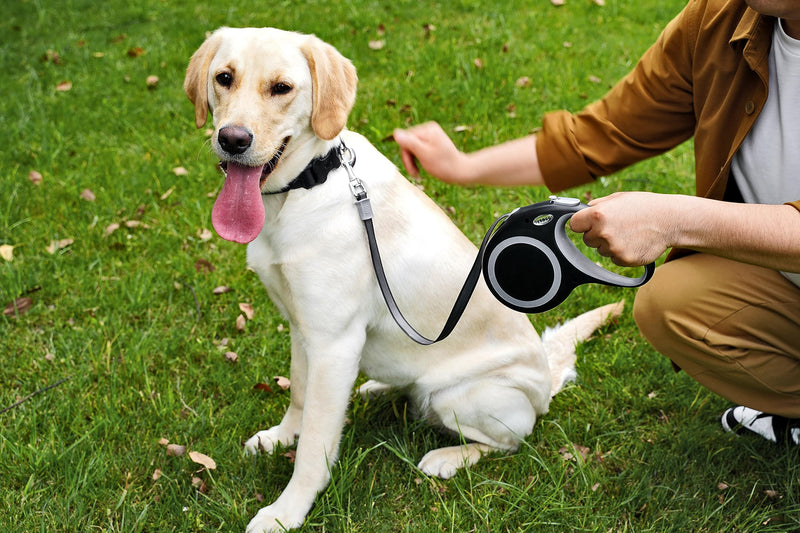 Retractable Dog Leash, 26 Feet Dog Leash for Small to Large Dogs up to 110lbs,Heavy Duty Design with Anti-Slip Handle, One-Handed Quick-Lock Braking System. - PawsPlanet Australia