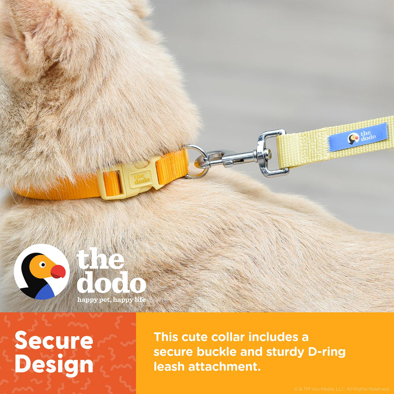 The Dodo All Nylon Yellow Collar and Leash Set - Small; Matching Cute Leash and Collar Set; Waterproof Dog Leash and Collar Set, Perfect for Beach Day or Trips to The Lake - PawsPlanet Australia