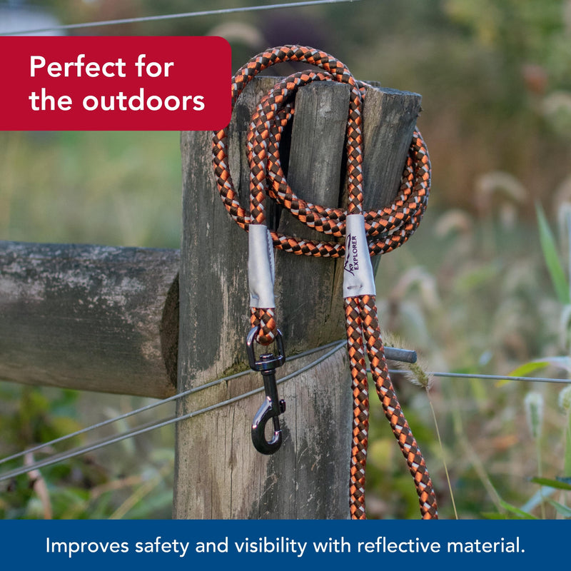 Coastal Pet K9 Explorer Reflective Braided Rope Snap Dog Leash - Heavy-Duty Leash - Comfortable & Secure Grip - Reflective Cord & Rugged Gunmetal Hardware - Orchid, 06' - PawsPlanet Australia