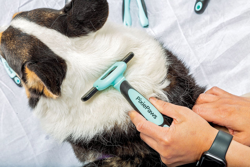 Pixie Paws Grooming Pet Brush 6 Piece Set, Dog and Cat Kit, Dematting Comb, Deshedding Fur, Toothbrush Clean Teeth, Remove Knot Tangles, Nail Clippers, Comfortable Handle - 530004E - PawsPlanet Australia