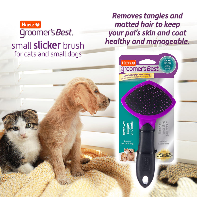 HARTZ, Groomer's Best Small Slicker Brush for Cats and Small Dogs, Black/Violet, 1 Count