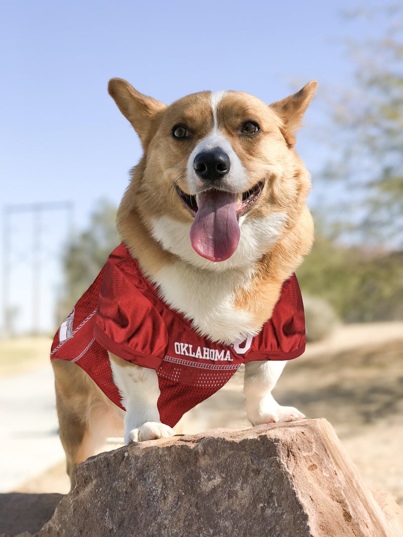 NCAA College Oklahoma Sooners Mesh Jersey for Dogs & Cats, XXX-Large. Licensed Big Dog Jersey with Your Favorite Football/Basketball College Team
