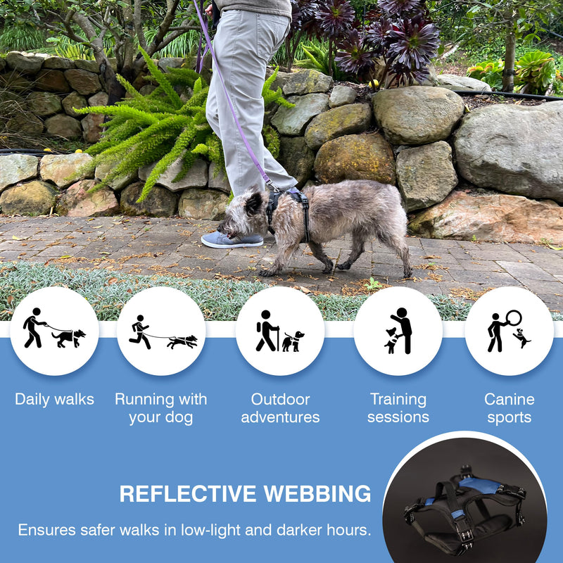 The North Star Dog Harness™ - Comfortable, Fully Adjustable, Designed to Reduce Pulling, Escape Resistant, Durable, fastens Easily and securely. (Grey, Small) - PawsPlanet Australia