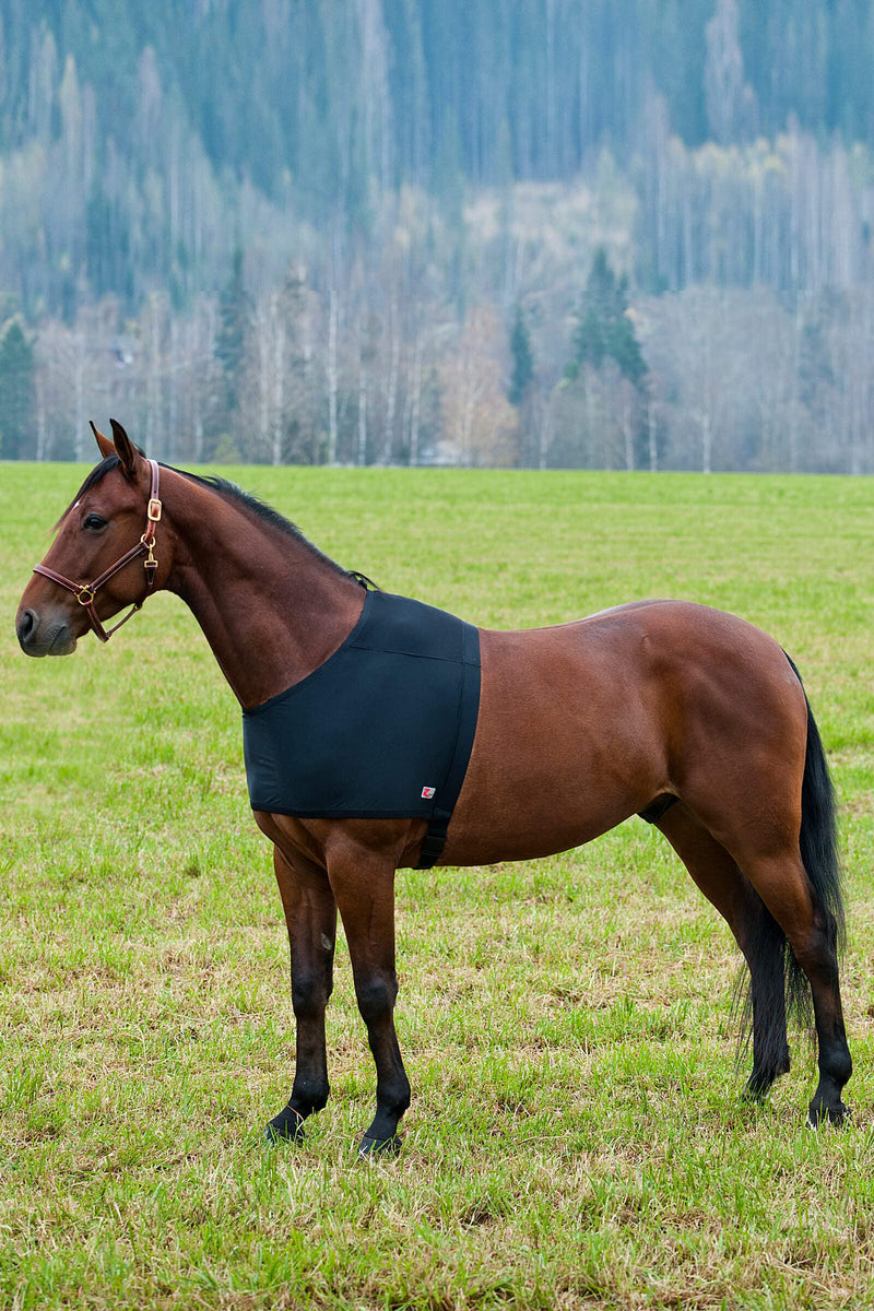 HORZE ComForce Blanket Shoulder Guard - Black - S - PawsPlanet Australia