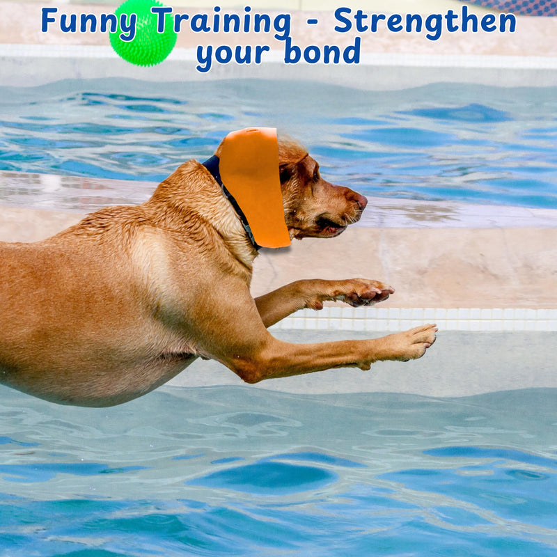 2pcs Dog Ear Covers for Swimming, Ear Protection for Dogs Bathing, Dog Bath Supplies, Ears Wrap for Dogs, Waterproof Ears Covers Swimming Cap, Adjustable Shower Cap, Puppy Swim Cap (Orange, Blue, L) Orange, Blue