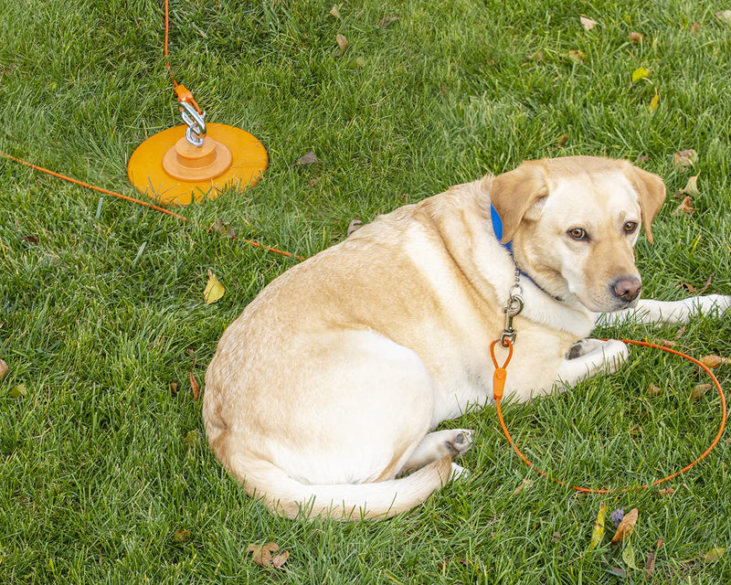 40FT Tie-Out Cables for Dogs - Strong, Safe, and Durable Dog Tie-Outs for Small Dogs up to 35 Pounds - Weather and Wear Resistant Galvanized Aircraft Cable for Outside Use 35 lb / 40 ft - PawsPlanet Australia