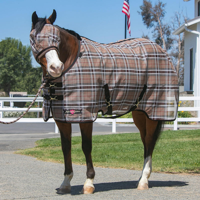 Kensington Fly Mask Web Trim — Protects Horses Face and Eyes From sun While Allowing Full Visibility — Ears and Forelock Able to Come Through the Mask, Medium, Deluxe Black M (Small Horse) Deluxe Black Plaid