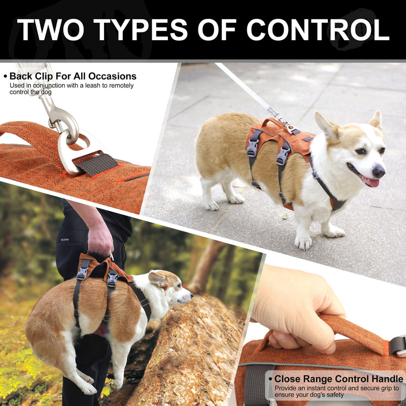 Escape Proof Dog Harness with Handle - Reflective No Pull Dog Vest, Lightweight Full Body Pet Harness Adjustable for Small Dogs Walking,Training(Blue,Chest:14-22") Chest:14-22", Fit 8-12 lbs Orange - PawsPlanet Australia