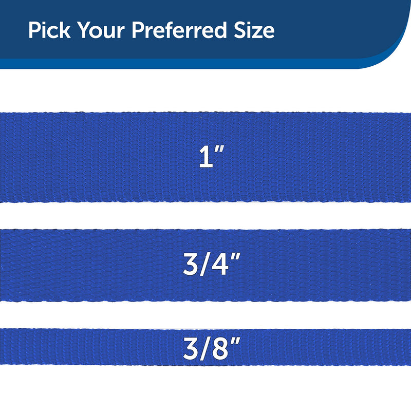 PetSafe Nylon Dog Leash – Strong, Durable, Traditional Style Leash with Easy to Use Bolt Snap – 3/4" x 4', Royal Blue - PawsPlanet Australia