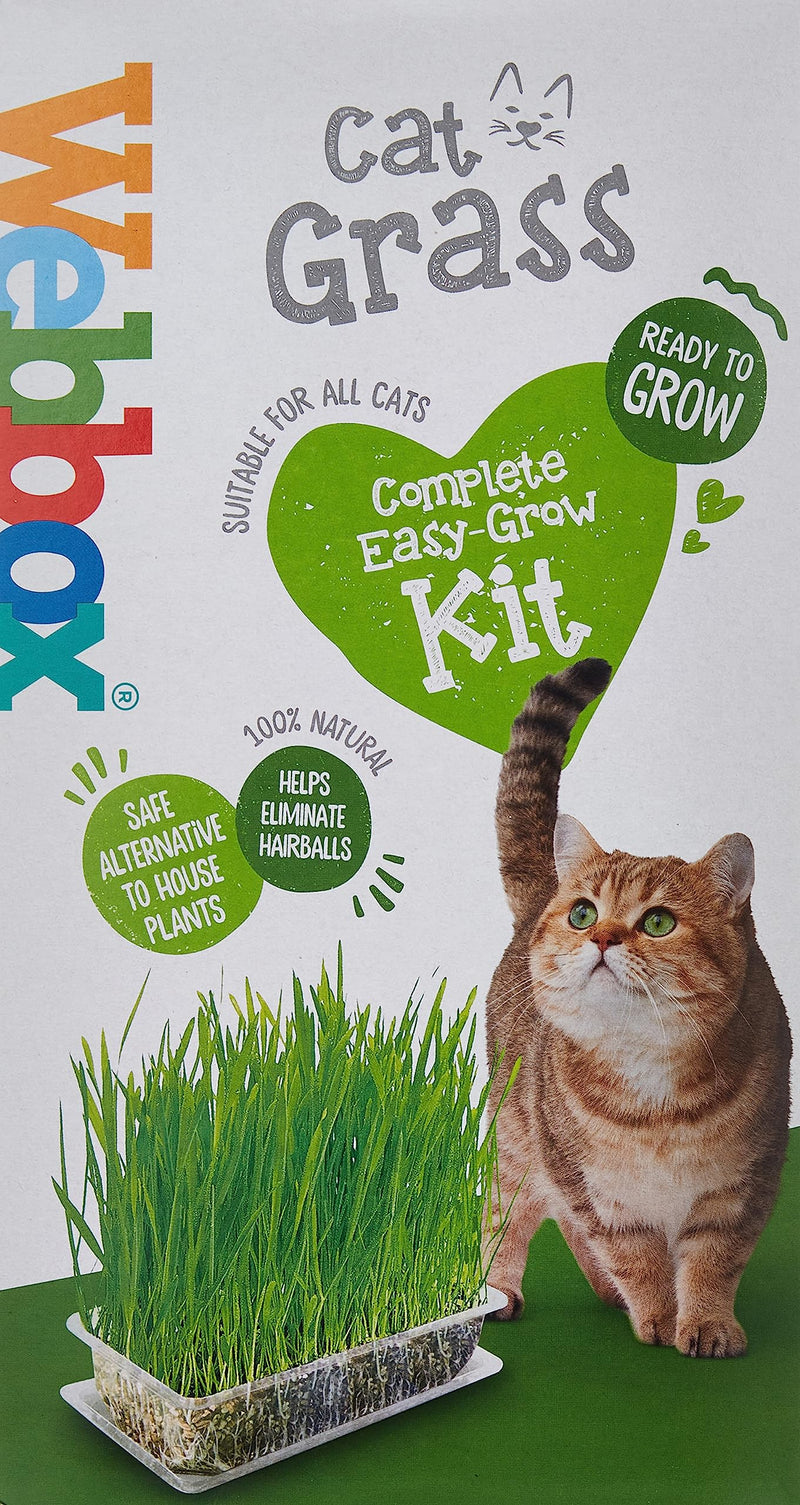 Webbox Cat Grass Kit 120g