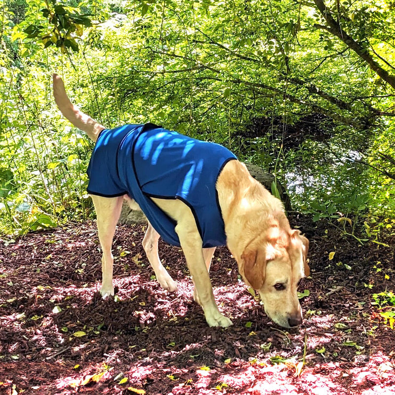 Dog Cooling Vest. Lightweight Jacket with Evaporative Cool Microfiber Technology, UV Protection Shirt for Beach, Sizing for Small, Medium and Large Dogs (XL, Dark Blue) X-Large