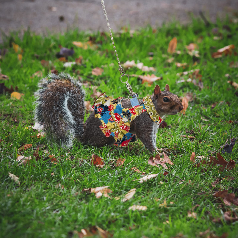 Squirrel Leash and Harness Vest Set, Adjustable Flora Small Animal Traction Rope Strap for Ferret, Squirrel, Dwarf Chinchilla, Guinea Pig, Fancy Rat Blue Printing - PawsPlanet Australia