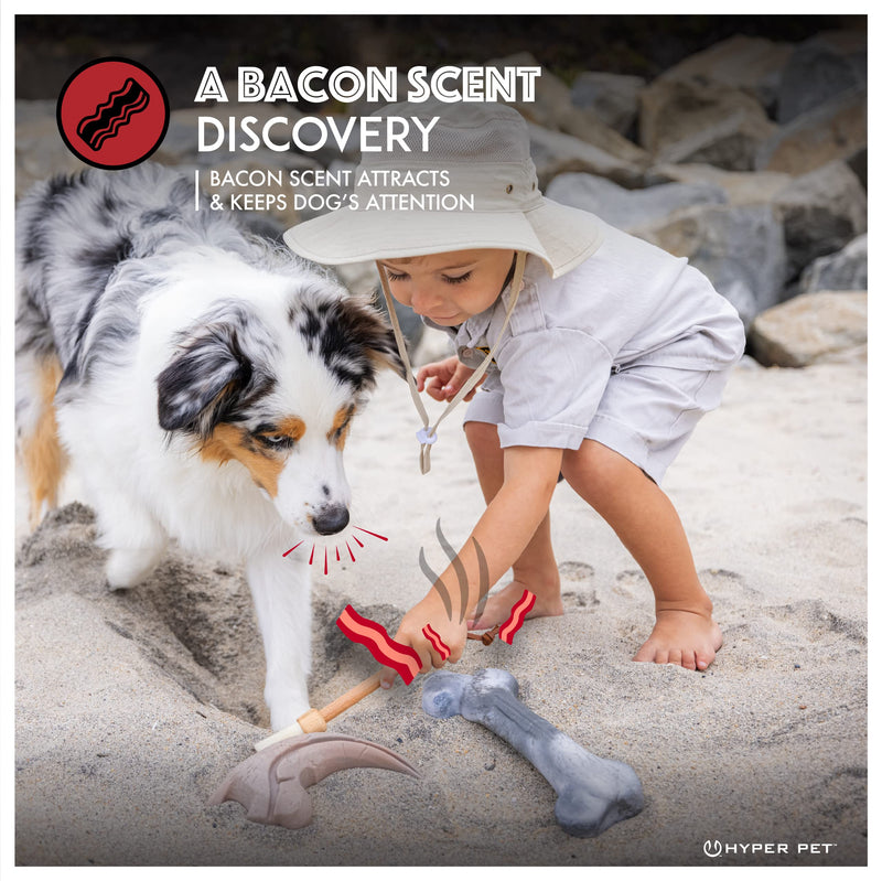 Hyper Pet Fossil Durable Dog Slow Feeder, Chew Toy, Interactive Toys (Bacon Flavored Long Lasting Durable Dog Chew Toy for Aggressive Chewers) Claw + Tooth-2 PK - for All Breeds 2 PACK - PawsPlanet Australia