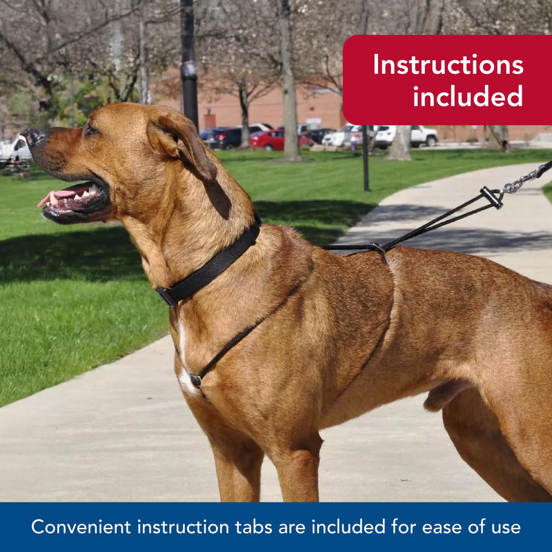 Coastal Pet Holt Adjustable Dog Control Harness - Big & Small Dog Harness - Walking Harness for Dogs - Instructions Included - Top-Grade Pet Supplies for Dogs - Black, Small (14") - PawsPlanet Australia