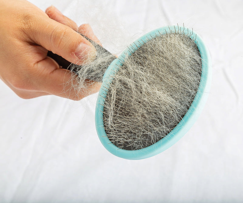 Pixie Paws Grooming Pet Brush 6 Piece Set, Dog and Cat Kit, Dematting Comb, Deshedding Fur, Toothbrush Clean Teeth, Remove Knot Tangles, Nail Clippers, Comfortable Handle - 530004E - PawsPlanet Australia