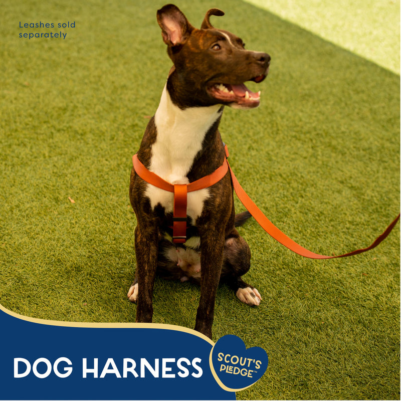 Good Scout Heavy Duty Dog Harness, Durable Dog Body Harness for Walking & Training, Brick, Large - PawsPlanet Australia