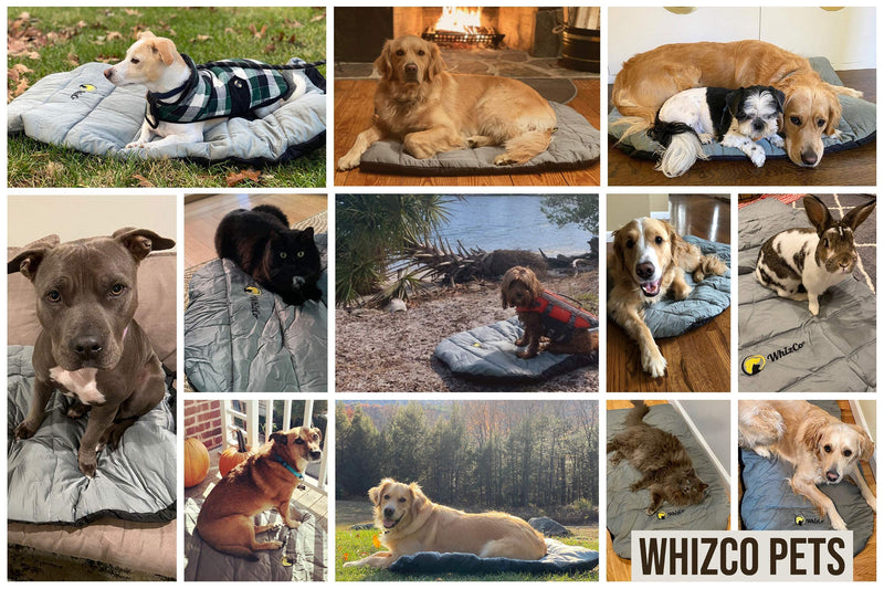 Travel Pet Bed with Built in Bag, All One Piece, Portable, Packable, Washable | for Outdoors, Camping, Hiking, Doggy Daycare for Dog and Cat - PawsPlanet Australia