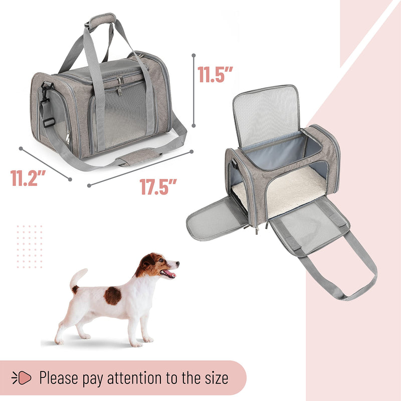 Mr. Pen- Cat Nail Clipper and Pet Carrier - PawsPlanet Australia