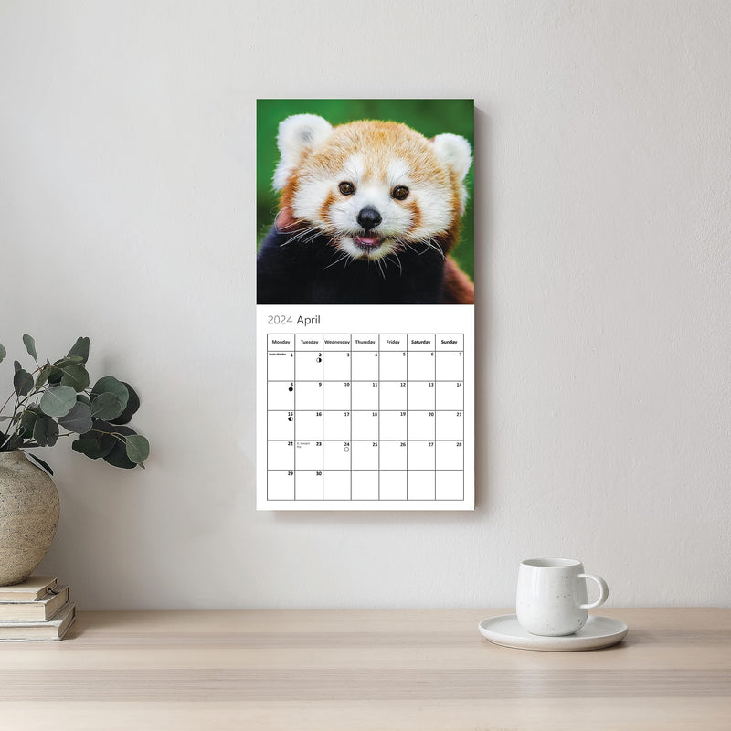 Animal Selfies Calendar 2024 - Funny Animal Calendar 2024 Month to View Family Planner & Daily Organiser. Funny Calendar Great Gift for Animal Lovers by Our World - PawsPlanet Australia