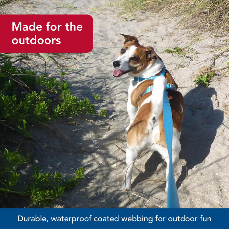 Coastal Pet - Pro Adjustable Waterproof Dog Collar with Waterproof Coated Webbing - Fuschia - 3/4” x 10"-14” 3/4" x 10"-14" (Pack of 1) Fuscia - PawsPlanet Australia