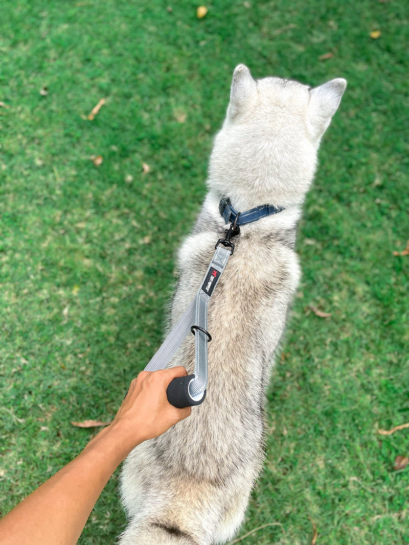 Tuff Pupper Service Dog Leash With Handle for Large Dogs | 12 Inch | Perfect for Service Harness & Training | Traffic Handle With Padding | Short Coupler - PawsPlanet Australia