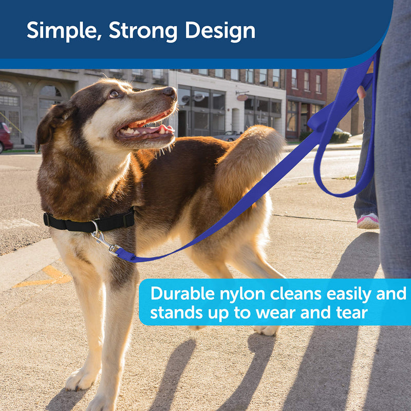 PetSafe Nylon Dog Leash – Strong, Durable, Traditional Style Leash with Easy to Use Bolt Snap – 3/4" x 4', Royal Blue - PawsPlanet Australia