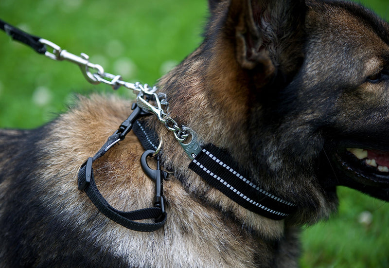 Hs Herm. Sprenger Prong Collar Safety Clip (Black) with Reflective Stripes 6"-8" - Pack of 1 Dog Leash Safety Strap - Enhanced Durability for Secure Leash Connection - Ideal for Safe Walk and Training - PawsPlanet Australia