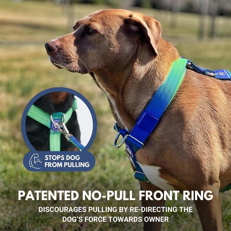 Spark Paws No Pull Dog Harness for Large Dogs, Heavy Duty Dog Harness for Big Strong Breeds, Adjustable, Y Shaped Padded Halter Design with Front Clip - Lime Wave - M Size M [50-85lbs] - PawsPlanet Australia