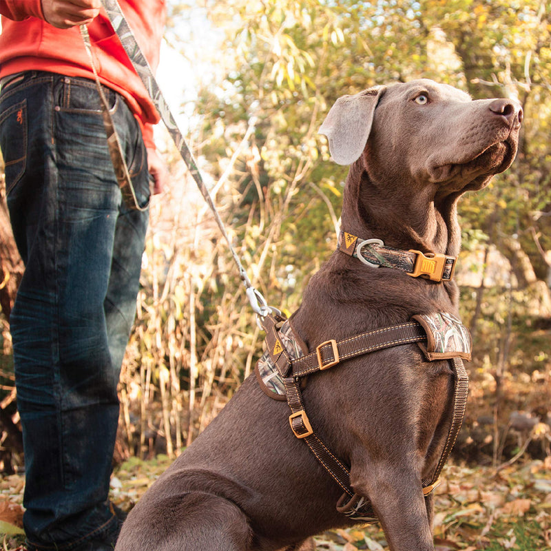 Browning Camo Dog Harness, No Pull Adjustable Reflective Pet Walking Vest Small Shadow Grass Blades - PawsPlanet Australia