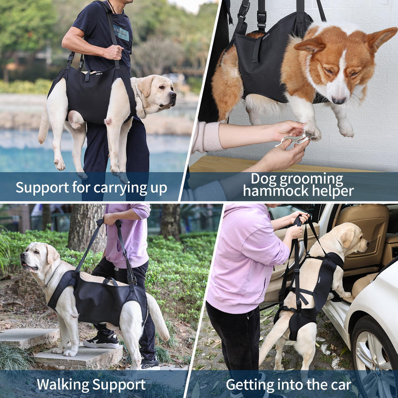 Dog Lift Harness, Emergency Backpack Pet Legs Support & Rehabilitation Sling Carrier, Adjustable Lifting Straps Carrier for Senior Elderly Dogs Joint Injuries Arthritis M - PawsPlanet Australia