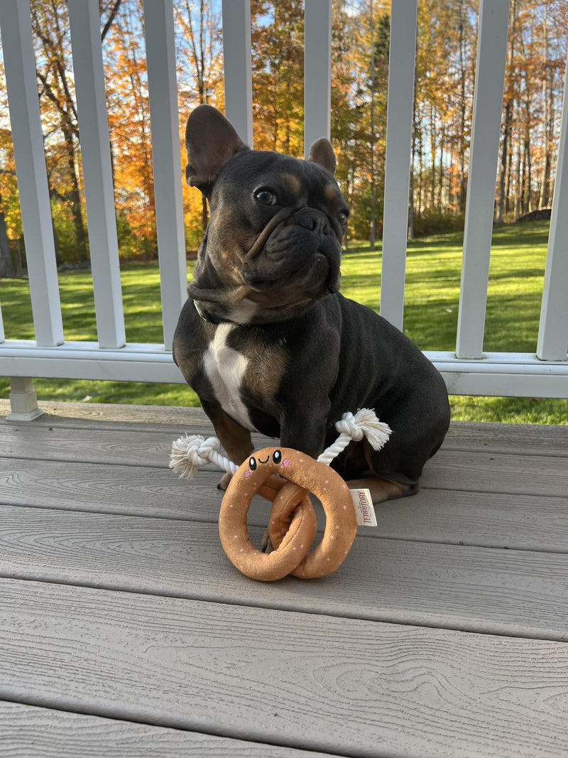 Territory Pretzel Rope Tug Dog Toy