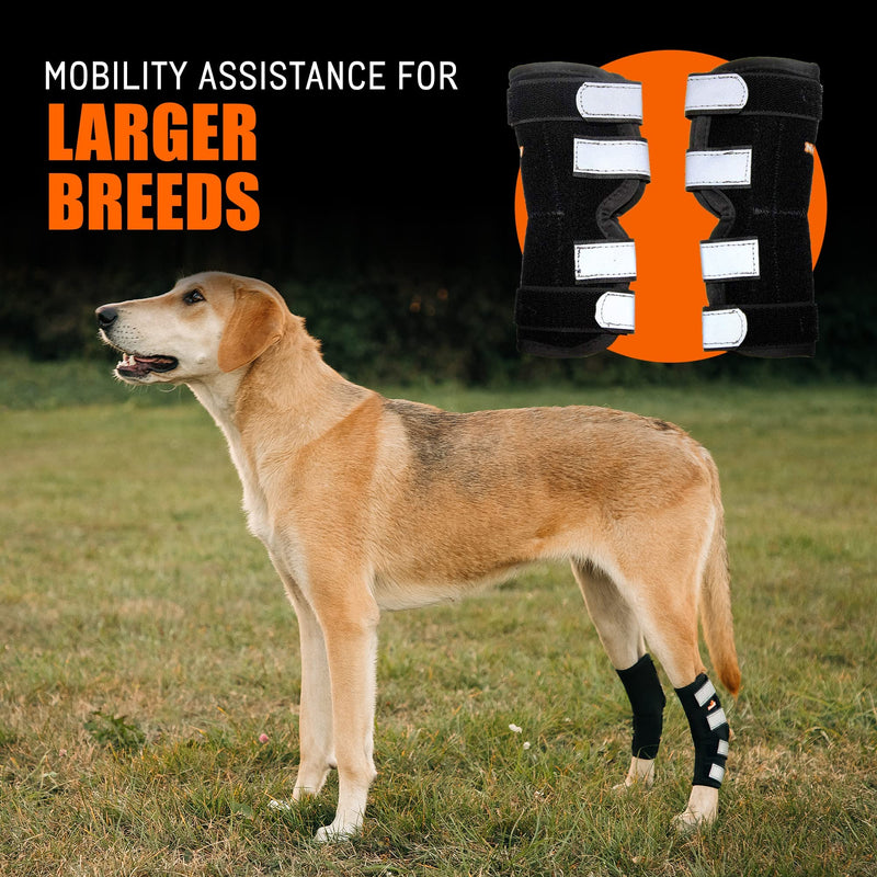 NeoAlly - Rear Leg Hock Brace with Metal Spring Strips, Dog Leg Brace for Rear Leg, Hock & Ankle Support, Rear Dog Leg Brace for Large Dogs, Long. (Both Legs, Small) Both Legs