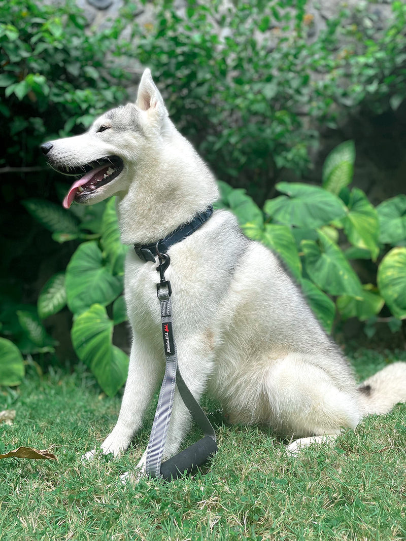 Tuff Pupper Service Dog Leash With Handle for Large Dogs | 12 Inch | Perfect for Service Harness & Training | Traffic Handle With Padding | Short Coupler - PawsPlanet Australia