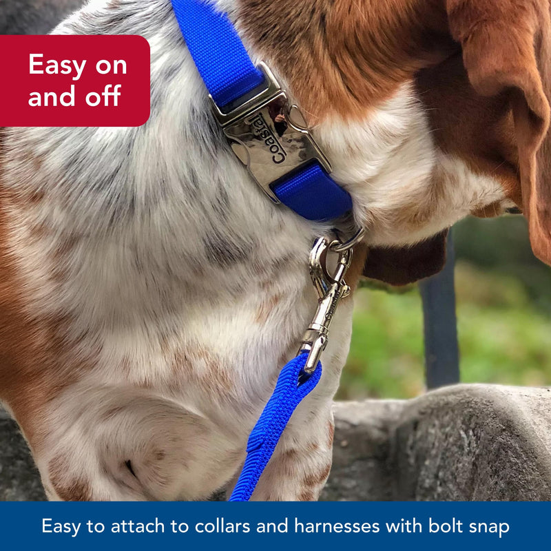 Coastal Pet Double-Ply Dog Leash - Bolt Snap Attachment to Collars and Harnesses - Nylon Dog Walking Leash for Small, Medium and Large Dogs - Teal - 1" x 6' 1" x 6' (Pack of 1) - PawsPlanet Australia