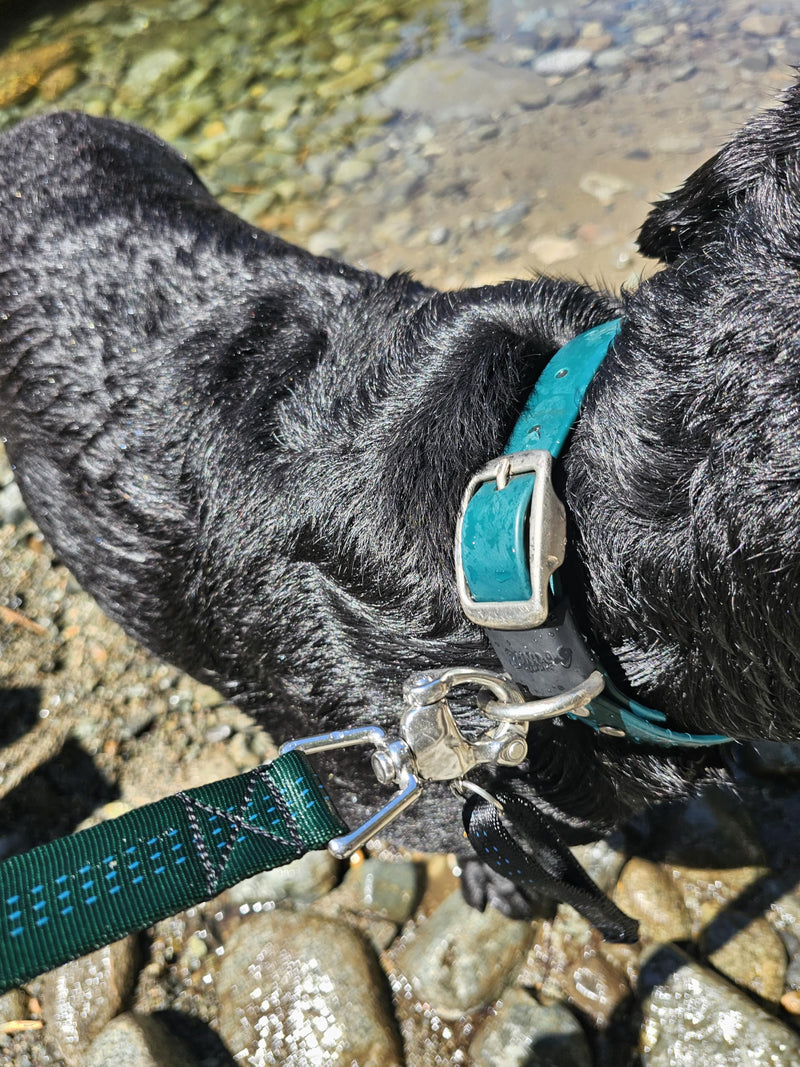 Heavy-Duty 6ft Dog Leash – Quick Release Snap, Dyneema Handle, Waterproof, 316 Stainless, Handmade USA (Hunter Green) Hunter Green - PawsPlanet Australia