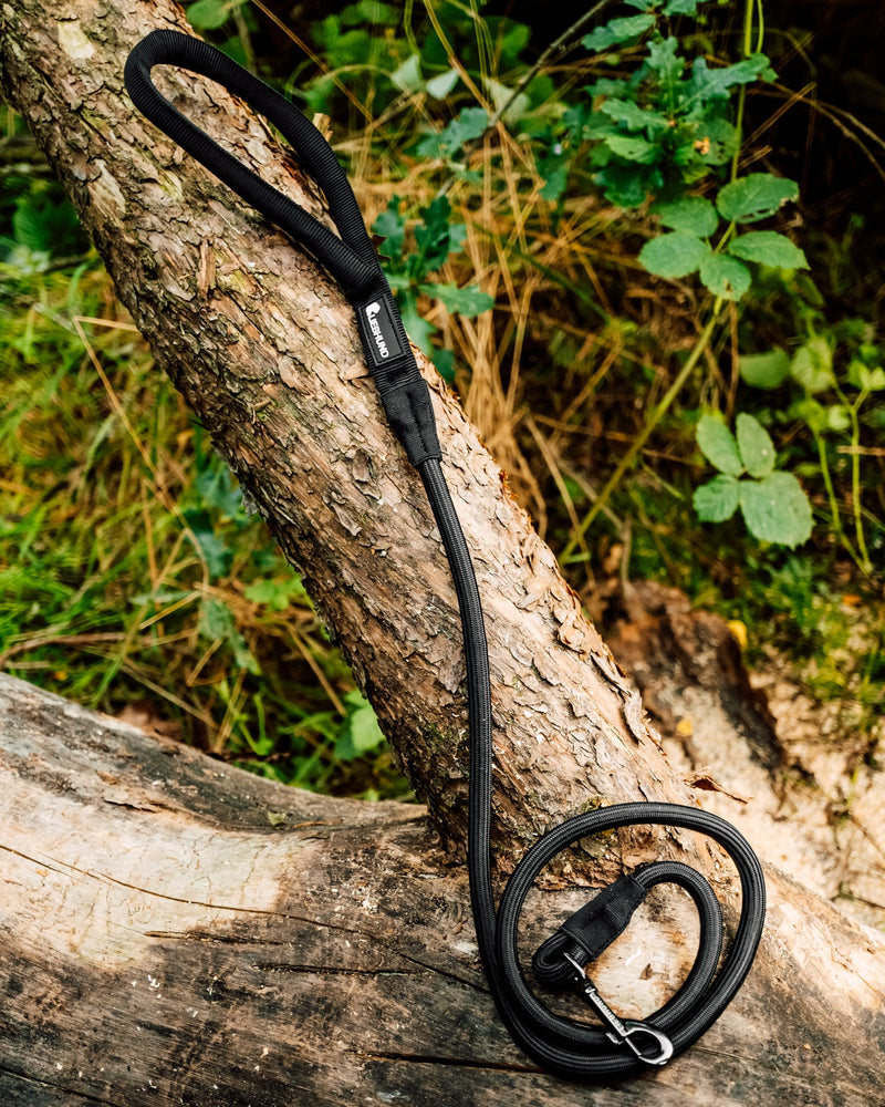 Blackline V2 Stylish Dog Lead 1.45 m Black for Medium Dogs - Premium Lead with Handle