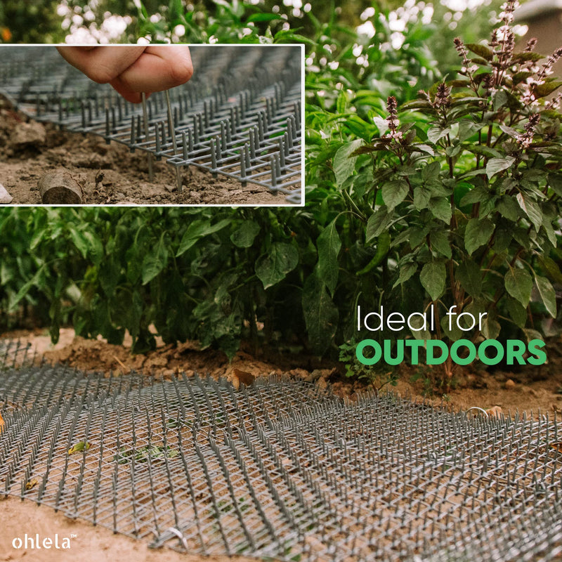 6.5ft Scat Mat for Cats - Cat Scat Mat with 12 Garden Staples. 78 inch x 11 inch PP Plastic Cat Spike Mat is Effective for Cat Repellent Outdoor & Indoor. Pet Deterrent Mat to Keep Cats & Dogs Away 6.5ft x 12in (1 Pack) Gray - PawsPlanet Australia