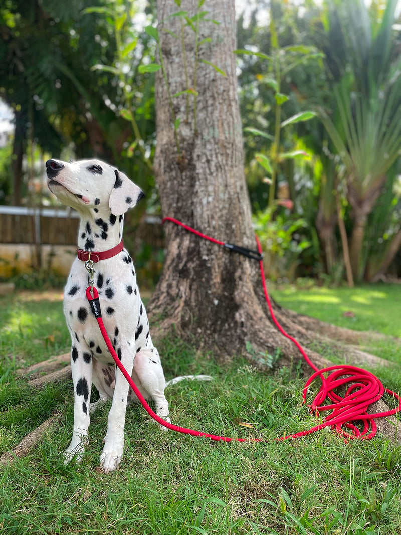 Tuff Pupper Heavy Duty 30 Foot Long Rope Leash for Dogs | Dog Recall Training Leash | High Visibility Strong Climbing Rope Leash | Hand or Waist Worn | Stainless Steel 360° Clips for Tangle Free Use March Red - PawsPlanet Australia