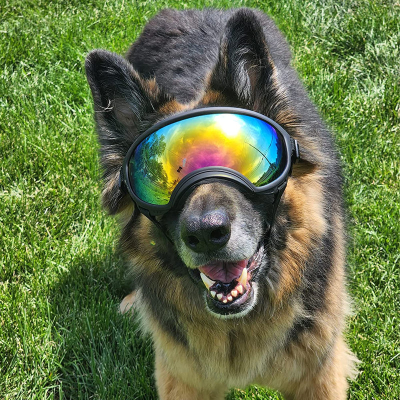 Large Dog Sunglasses, Dog Goggles with Adjustable Strap UV Protection Winproof Dog Puppy Sunglasses, Suitable for Medium-Large Dog Pet Glasses, Dogs Eyes Protection Large Black Frame&Colored Lens - PawsPlanet Australia