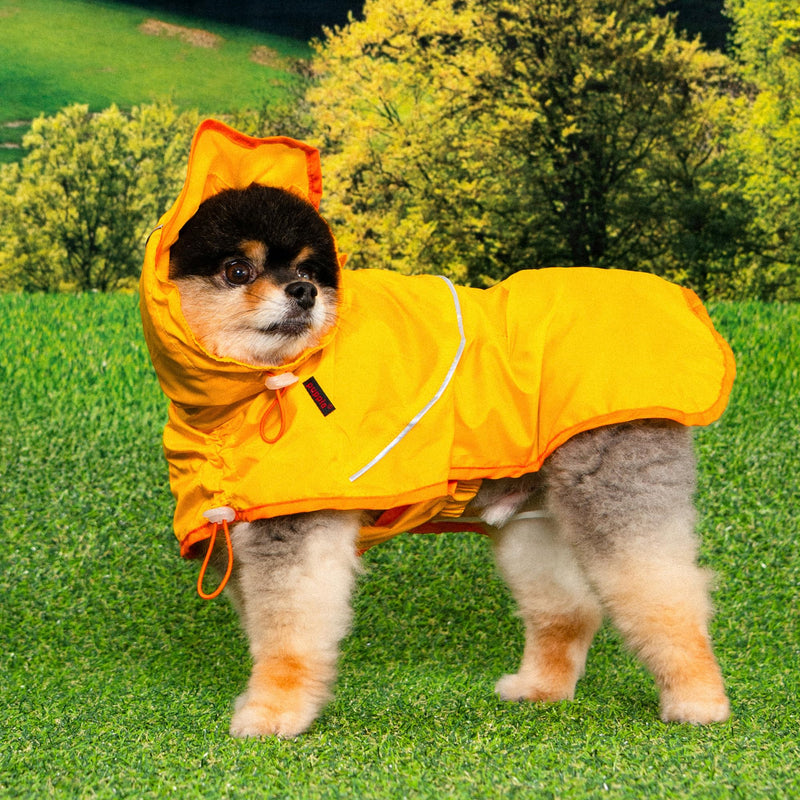 Puppia Rainlite Dog Poncho Hooded Waterproof Adjustable Lightweight Rain Jacket Poncho for Small and Medium Dogs, Yellow, XX-Large