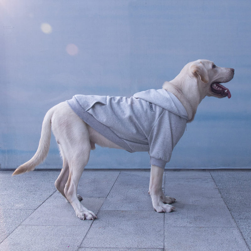 Extra Large Dog Zipper Hoodies Clothes Zip Up Sweaters for Great Dane Mastiff, Grey, 8X-Large 8X-Large (100-125lbs) Hoodie Grey - PawsPlanet Australia