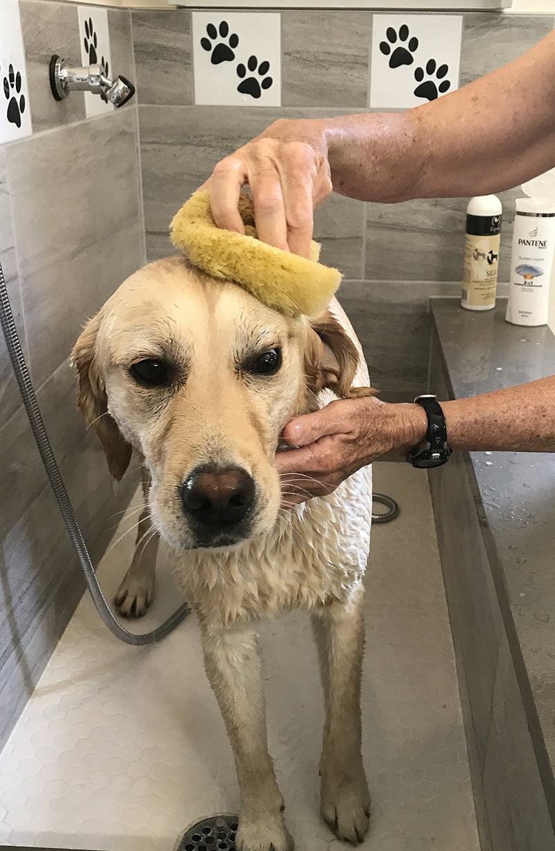 Sea Sponges for Dogs - Luxury Canine Bath Care, for Pet Grooming, Soft & Gentle Pampering - PawsPlanet Australia