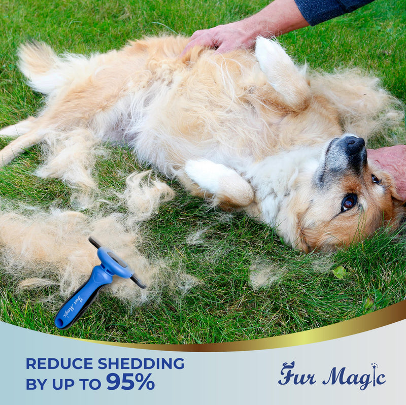 Fur Magic Deshedding Tool & Dematting Comb – Grooming Brushes for Dogs, Cats, Horses – Reduce Shedding and Remove Knots, Mats and Loose Undercoat, Large Size Large Bundle