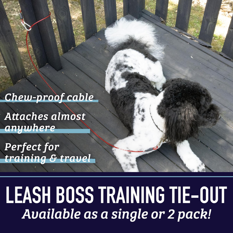Leash Boss Dog Tie Out Cable for Large Dogs - 5 Ft Heavy Duty Tether for Outside Dog Runner - Durable, Chew-Proof, Dog Lead for Yard, Camping, and Training 5 Foot Classic Red - PawsPlanet Australia