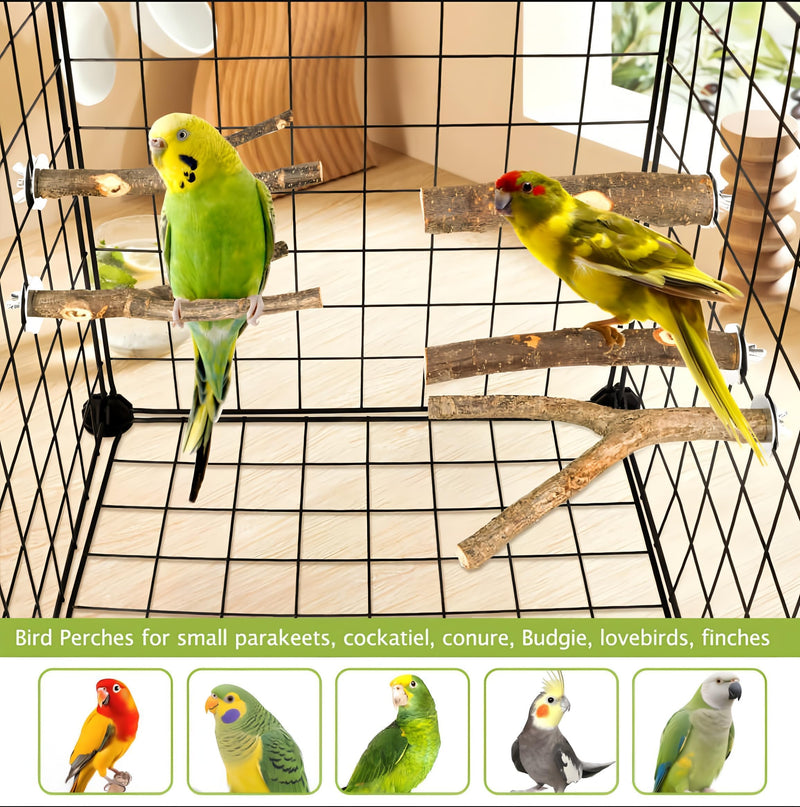 5PCS Natural Wood Bird Perch Set - Straight & Forked Branch Perches Cage Perches Accessories for Small Medium Birds, Parakeets, Budgies, Cockatiels, Conures brown Essential Perch Bundle - 5PCS