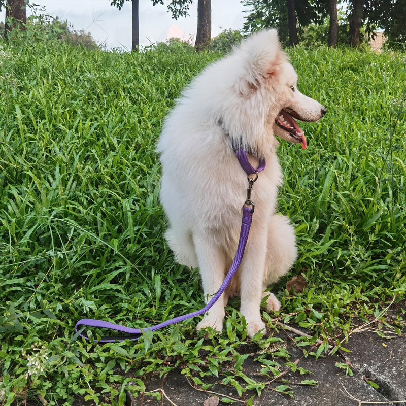 Advanced Dog Short Leash 24 Inches with Sturdy Nylon and Soft Padded Handle Lead for Large Medium Breed Dogs Daily Use Walking,Training etc (24 Inches, Ultra Violet)