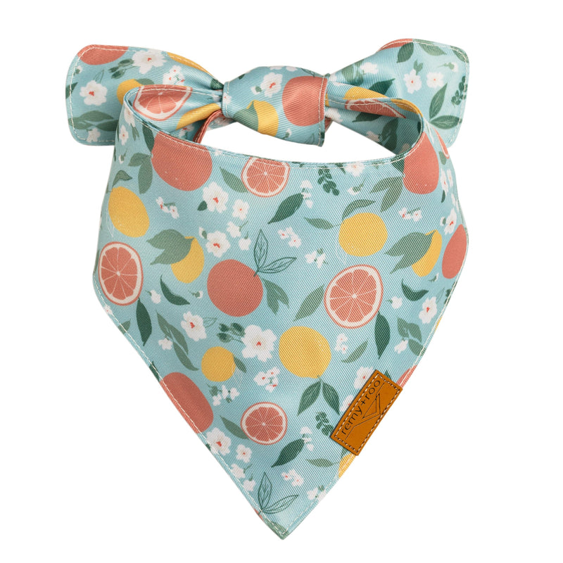 Remy+Roo Spring Dog Bandanas - 4 Pack Taylor Set | Premium Durable Adjustable Polyester Fabric | Patented Shape Girl Dog Bandana, Floral Bandana for Dogs (Small)