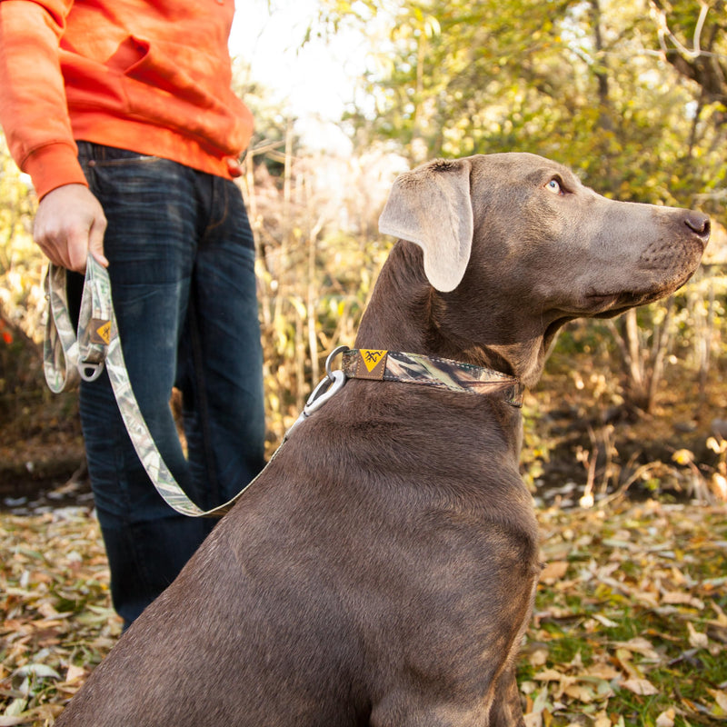 Browning Pet Leashes, Classic Webbing Camo Leash One Size, One Size, Realtree MAX-7 - PawsPlanet Australia
